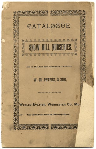 3726656] Catalogue and Price List of the Snow Hill Nurseries Near Snow Hill, Md. [...] Worcester...