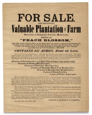 For Sale, The Following Valuable Plantation or Farm Situated in Somerset County, Maryland…