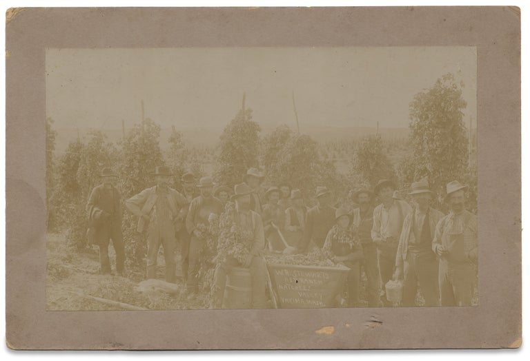 [3729285] [C.1894–1901 Naches Valley, Yakima, Washington Hop Ranch Photograph by E.L. Meyer]. E L. Meyer, Ephraim J. Hamacher, Edward L. Meyer, E. J. Hamacher, W R. Stewart.