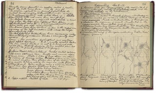 1901 Manuscript Notebooks kept by Julius Wooster Eggleston, geologist and author, as a Harvard student.