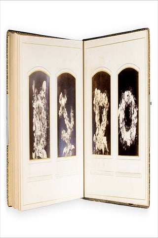 1880s – 1890s Cornell University Class Photo Album owned by Walter Douglas Young of Aurora, New York and Maryland.