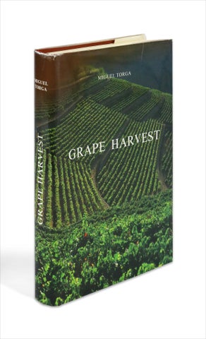 3732226] Grape Harvest. [English translation of Vindima]. Miguel Torga