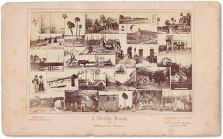3733119] A Florida Mosaic [composite albumen photograph]. Marcus H. Rogers
