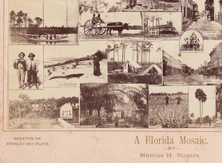 A Florida Mosaic [composite albumen photograph].