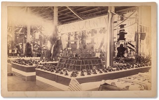 Four photographs ca. 1890s of the Ocala Exposition in Florida showing Citrus County’s exhibits and a special fruit display.