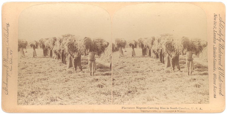 [3733160] “Plantation Negroes Carrying Rice in South Carolina, U.S.A.” [stereoview caption title]. Underwood, vendors Underwood.