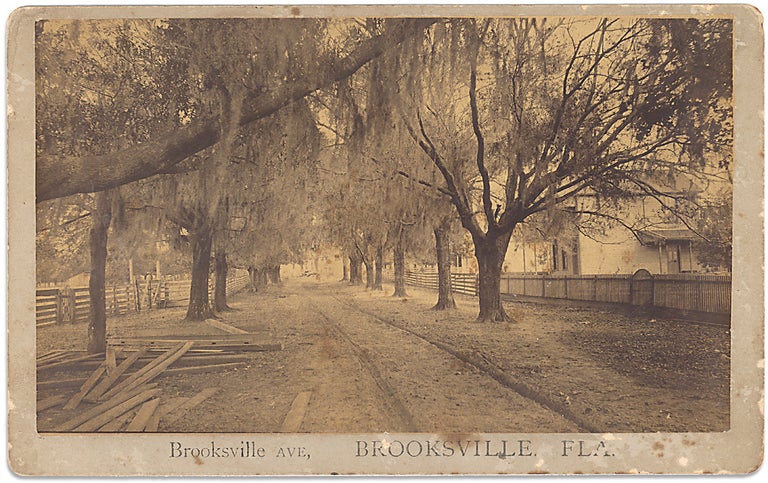 [3733168] Ca. 1880s–1890s photograph view of Brooksville Avenue, Brooksville, Florida. Photographer Isaac Aten.