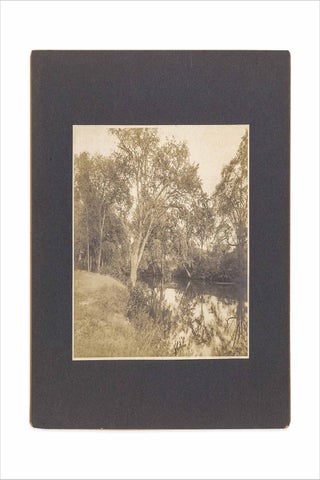 Ca. 1900–1910 archive of 66 photographs by Frank Everett Fairbanks, amateur photographer in Fitchburg, Massachusetts.