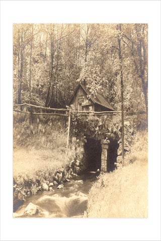Ca. 1900–1910 archive of 66 photographs by Frank Everett Fairbanks, amateur photographer in Fitchburg, Massachusetts.
