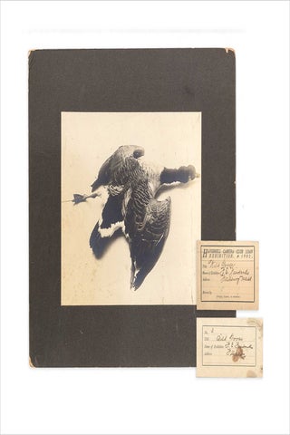 Ca. 1900–1910 archive of 66 photographs by Frank Everett Fairbanks, amateur photographer in Fitchburg, Massachusetts.