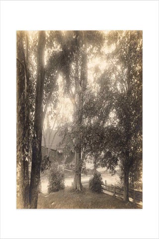 Ca. 1900–1910 archive of 66 photographs by Frank Everett Fairbanks, amateur photographer in Fitchburg, Massachusetts.
