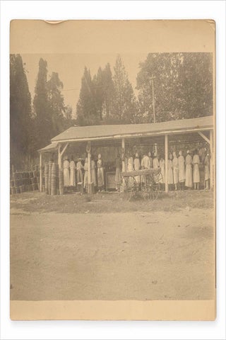 Two photographs of Eastern Shore, Maryland African American workers sorting produce.